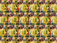 3d3-t.jpg (16194 bytes)